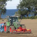 Ferienbauernhof Liesenberg Obstwiesenhaus Pflaumenbaum Fehmarn