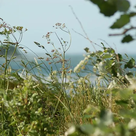 Ferienbauernhof Liesenberg Obstwiesenhaus Pflaumenbaum