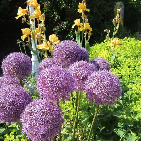 Prázdninový dům Ferienbauernhof Liesenberg Obstwiesenhaus Pflaumenbaum *