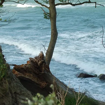 Ferienbauernhof Liesenberg Obstwiesenhaus Pflaumenbaum Prázdninový dům