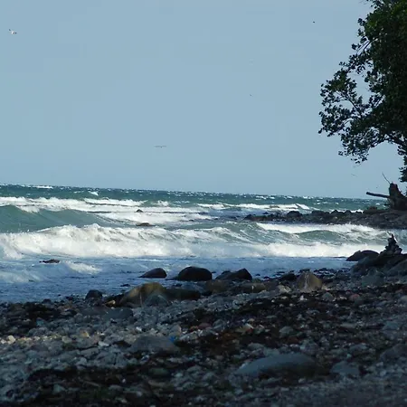 Ferienbauernhof Liesenberg Obstwiesenhaus Pflaumenbaum Fehmarn