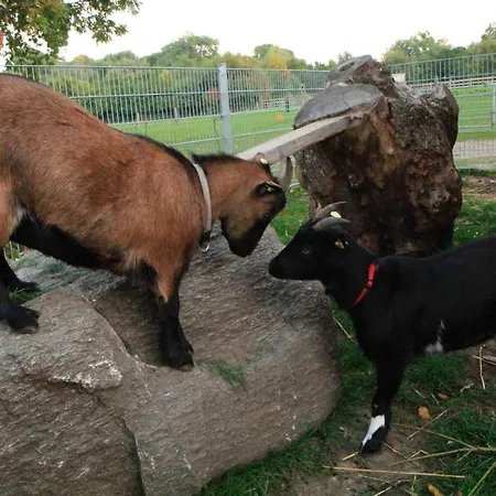 Ferienbauernhof Liesenberg Obstwiesenhaus Pflaumenbaum Prázdninový dům Fehmarn