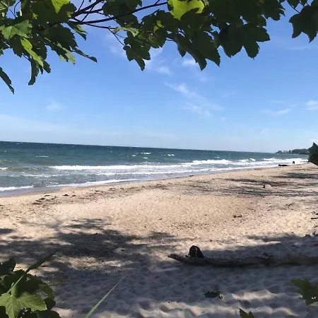 Ferienbauernhof Liesenberg Obstwiesenhaus Pflaumenbaum *