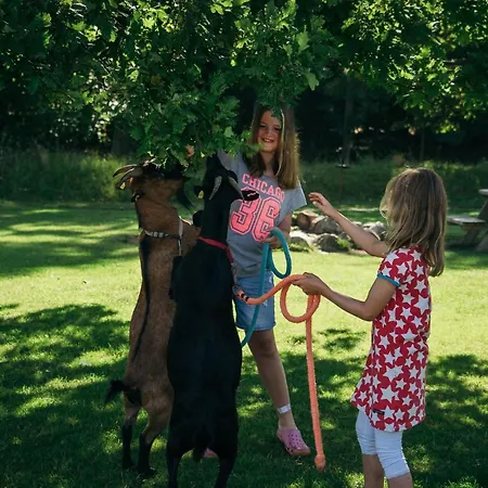 Ferienbauernhof Liesenberg Obstwiesenhaus Pflaumenbaum Fehmarn