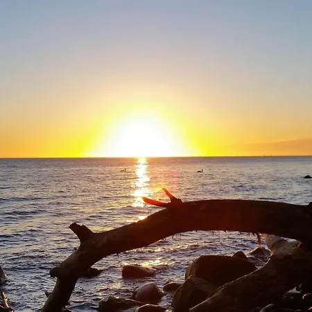 Ferienbauernhof Liesenberg Obstwiesenhaus Pflaumenbaum *