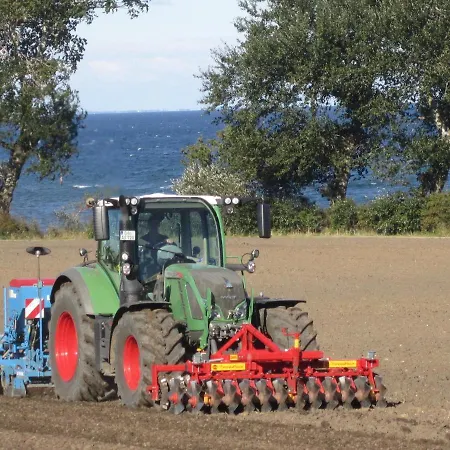 Ferienbauernhof Liesenberg Obstwiesenhaus Pflaumenbaum Fehmarn