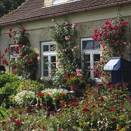 Ferienbauernhof Liesenberg Obstwiesenhaus Pflaumenbaum * Fehmarn