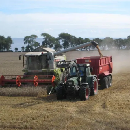 Prázdninový dům Ferienbauernhof Liesenberg Obstwiesenhaus Pflaumenbaum